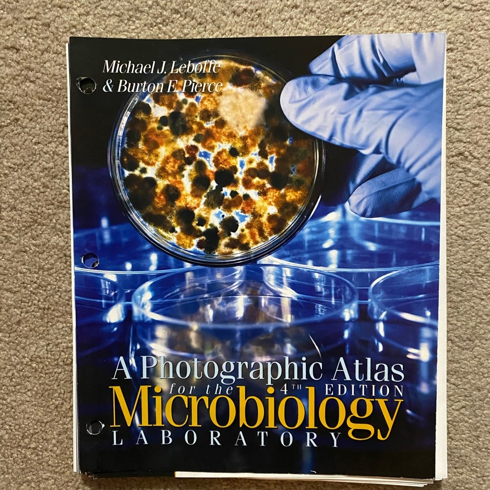 A Photographic Atlas for the Microbiology Lab